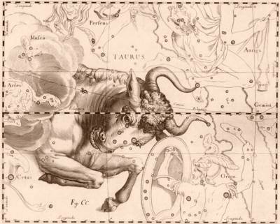 Earthlore Explorations Lore of Astrology: Aries - The constellation Taurus drawn by Johannes Hevelius
