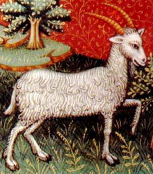 Earthlore Explorations Lore of Astrology Capricorn: 15th Century Manuscript Detail of Capricorn