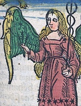 Detail of the
Constellation Virgo from 1512 German Calendar.