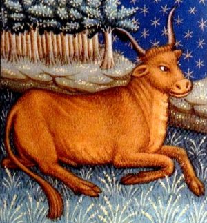 Earthlore Explorations Lore of Astrology Taurus : 15th Century Manuscript Detail of Taurus